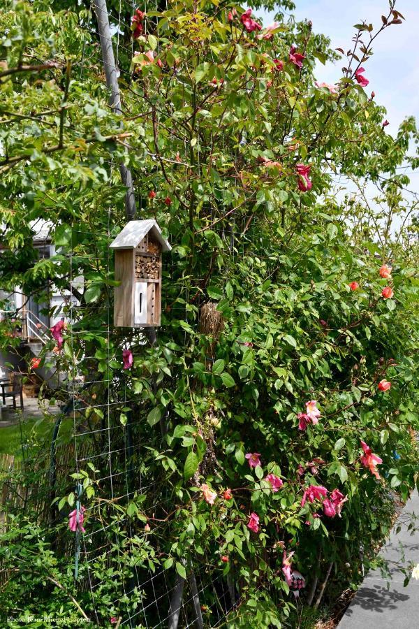 Les Glycines Mauves Bed & Breakfast Braine-lʼAlleud Екстериор снимка